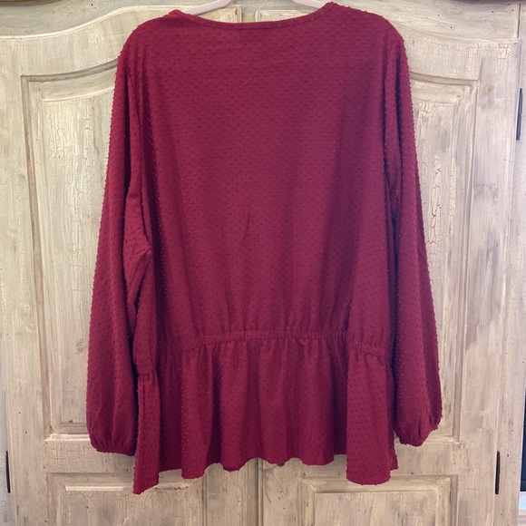 Lane Bryant Gathers Waist Top - Picture 5 of 5